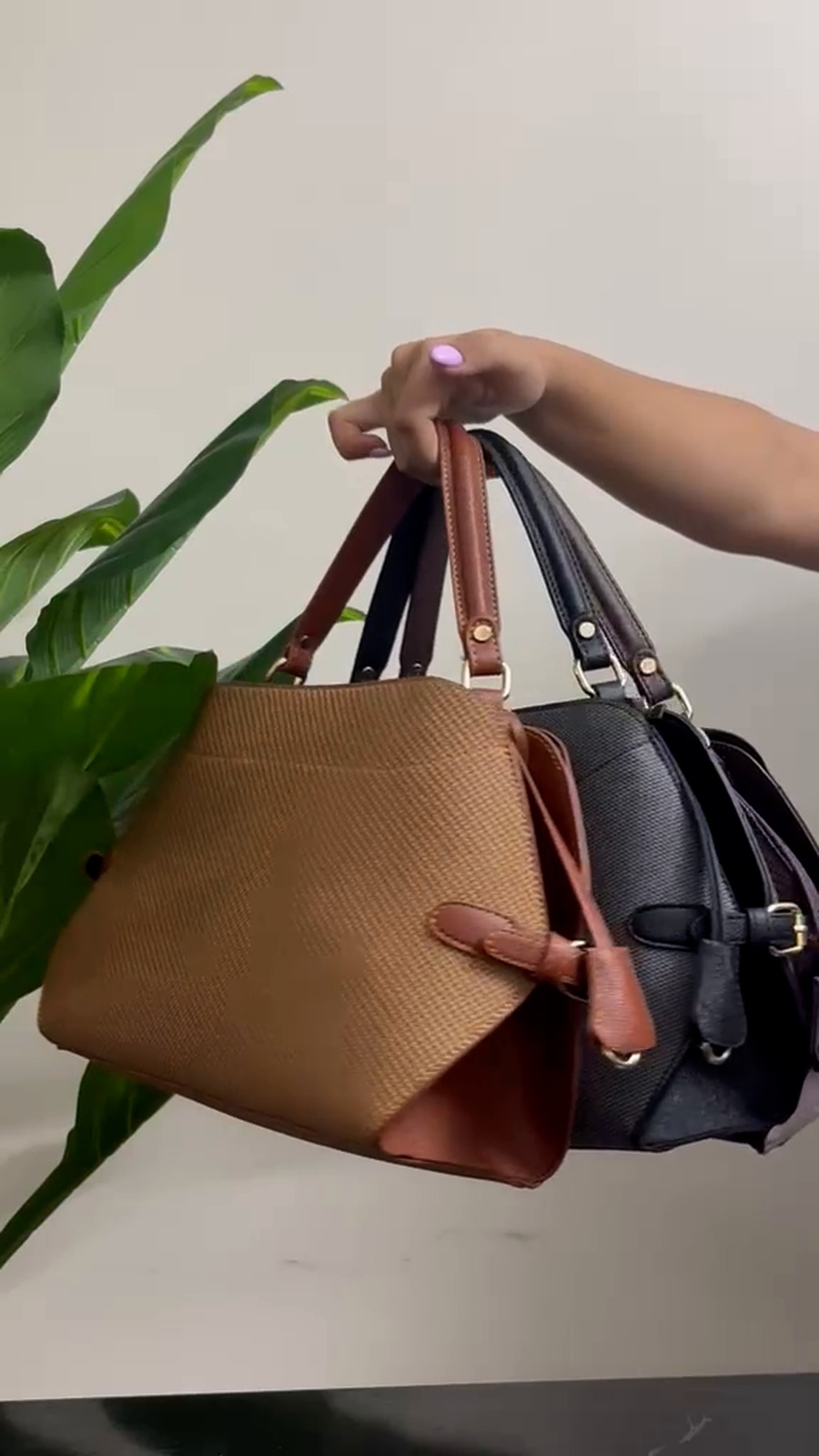 Nile Tote Video Frame